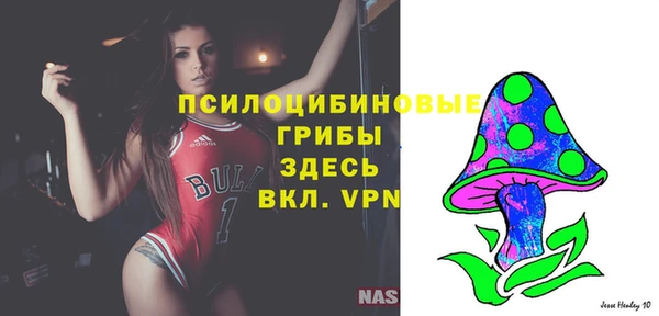ешки Ельня