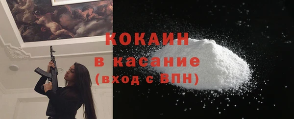 ешки Ельня