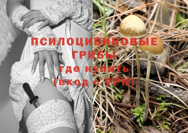 2c-b Елизово