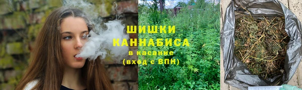 ешки Ельня