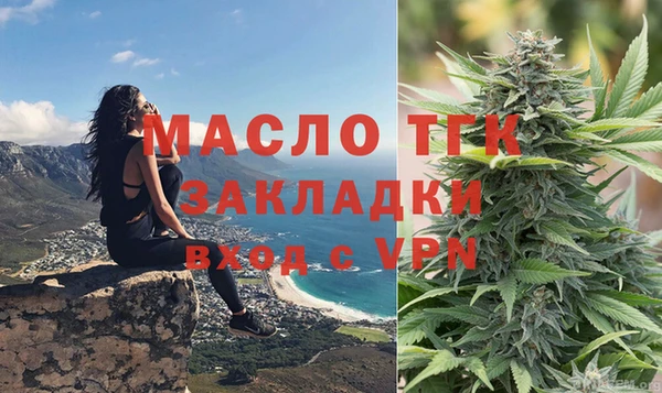 ешки Ельня