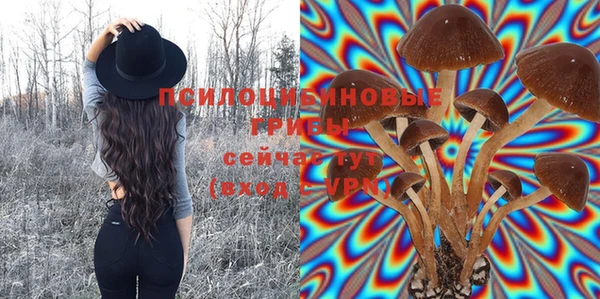 2c-b Елизово