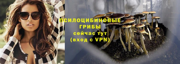 2c-b Елизово