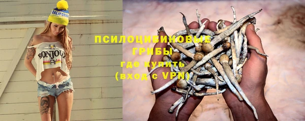 ешки Ельня